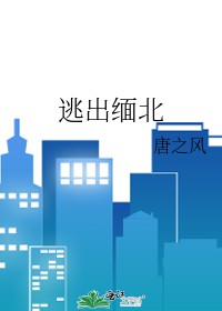 逃出缅北